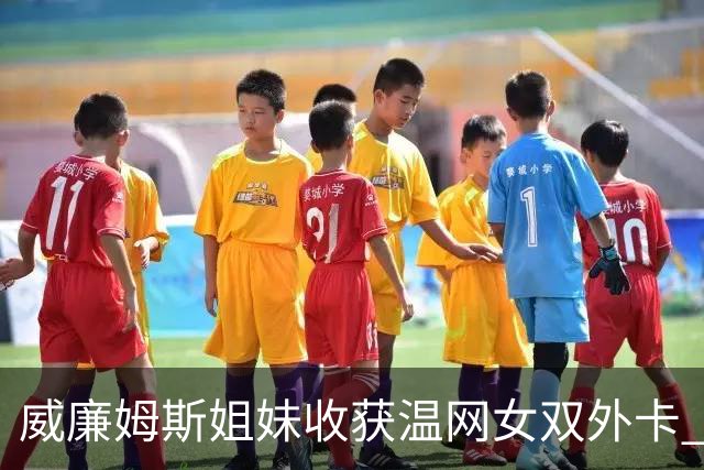 威廉姆斯姐妹收获温网女双外卡 曾六次问鼎温网女双创纪录
